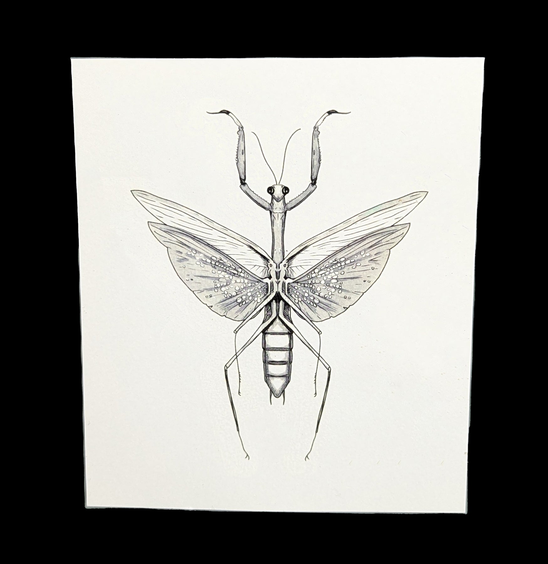 Paxton Gate Tattoos - Premium Temporary Tattoos for Adults & Teens - Waterproof Fake Tattoos for Parties, Festivals & Cosplay