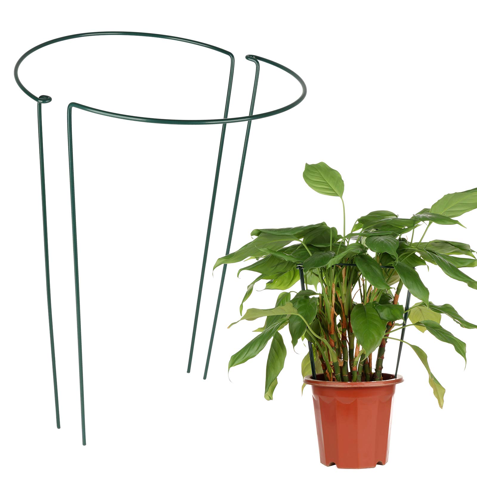 2-Pack Half Round Metal Plant Support Stakes for Tomato, Hydrangea & Indoor Plants (11.8x19.7 Inch) - Garden Flower Support Rings for Outdoor & Indoor Gardening