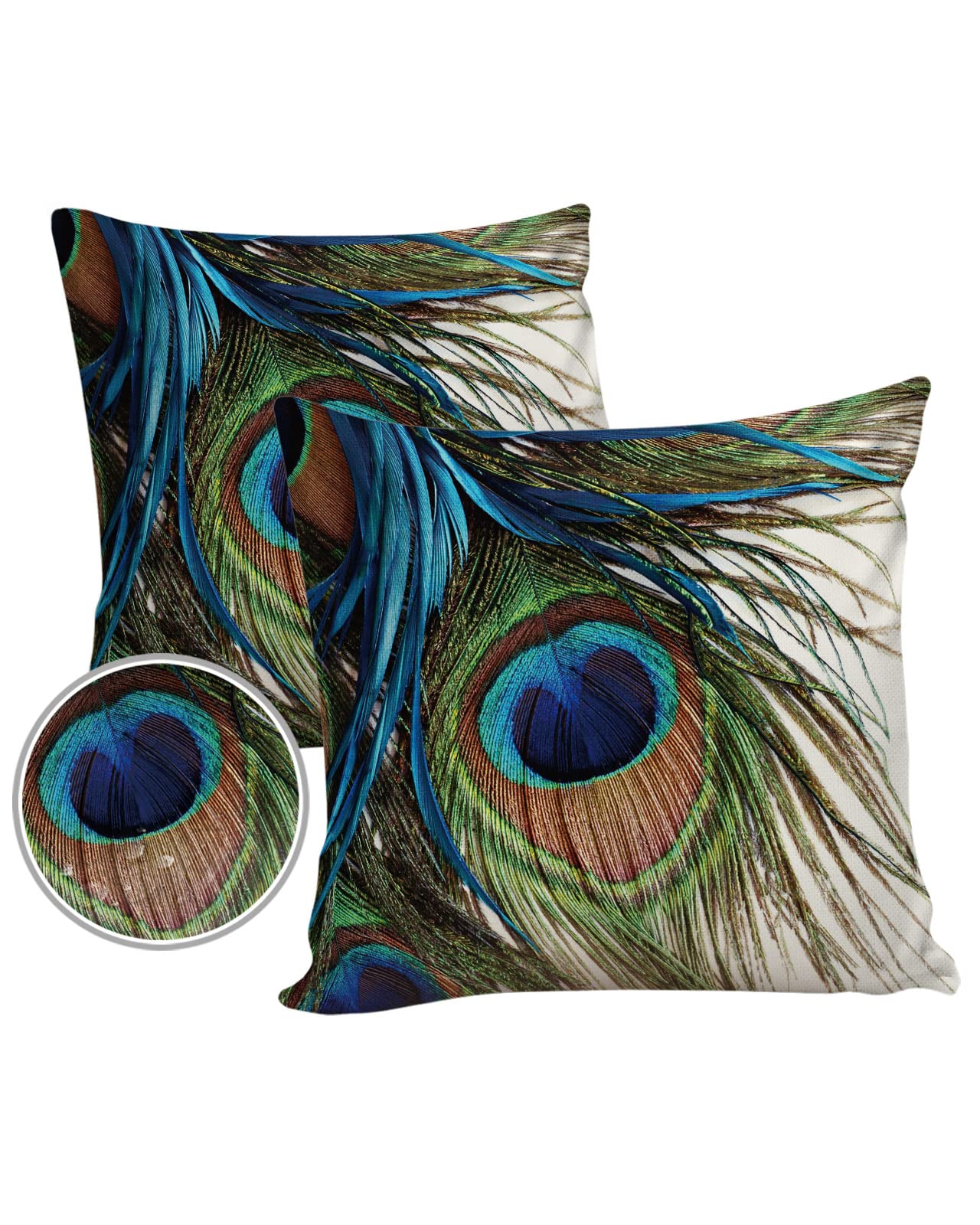 Peacock Feather Pillow Covers 18x18 Inch (2 Pack) - Square Decorative Cushion Cases for Sofa, Couch, Living Room & Bed - Indoor Home Decor Accent Pillows for Cozy Comfort