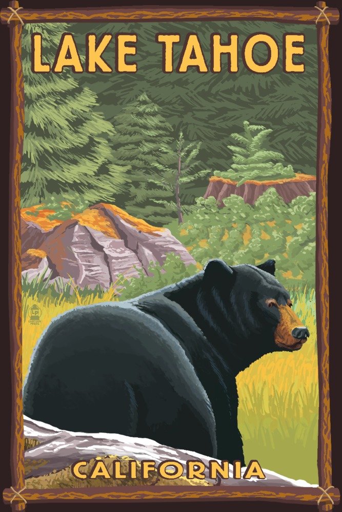 Signed Lake Tahoe Black Bear Forest Art Print - 24x36 Wall Decor Poster for Living Room, Office & Cabin - California Wildlife Photography