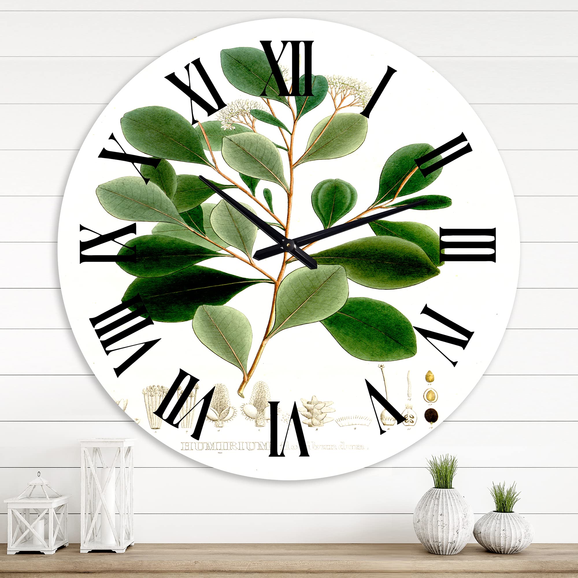 Vintage Botanicals IV Floral Wall Clock - Large Traditional Decorative Clock for Bedroom, Living Room, Office | Perfect Home Decor Gift for Housewarming, Wedding & Anniversary