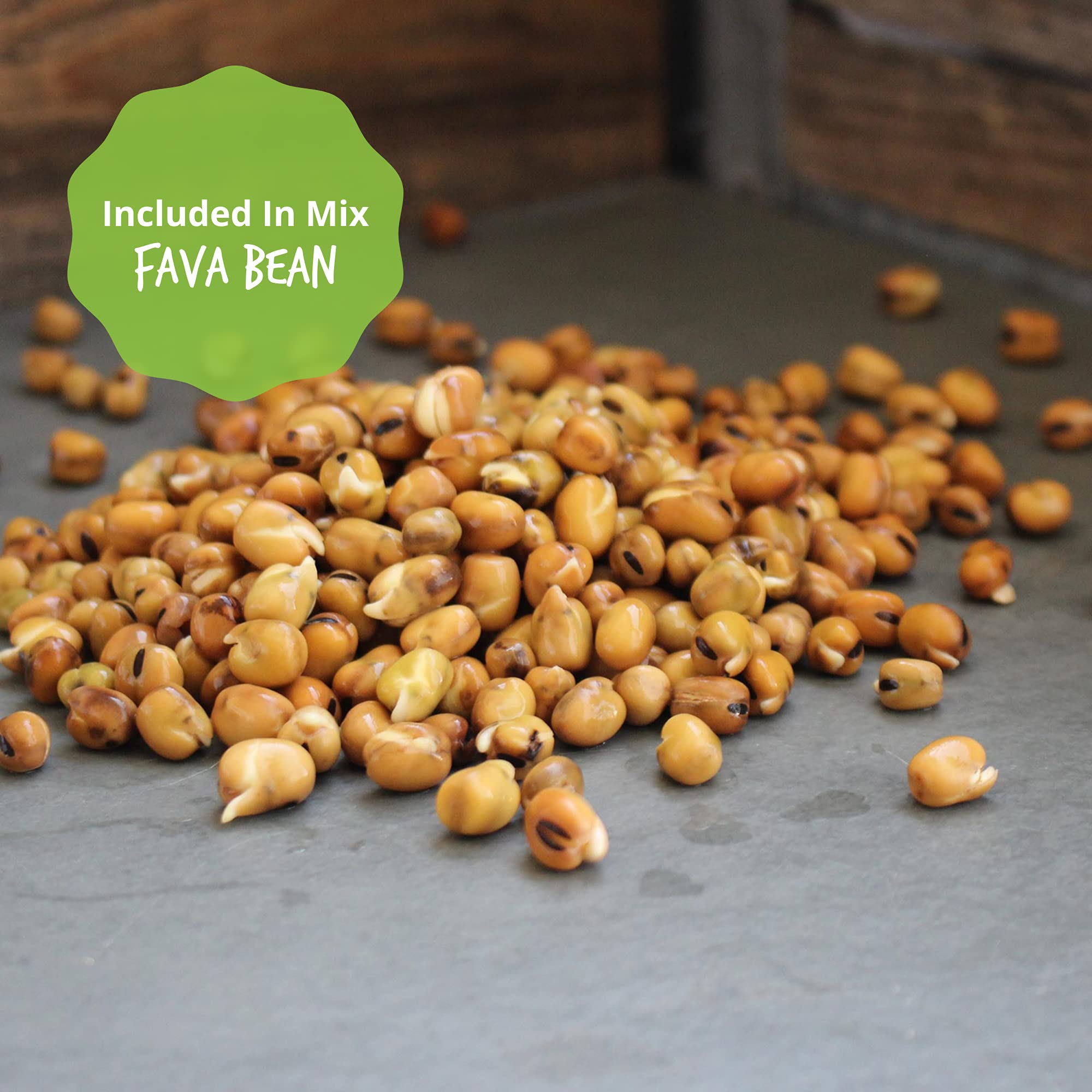 Organic Sprouting Seeds - Handy Pantry Sweet Protein Mix - 35 lb. Bulk Sealed Storage Bucket - Fava Bean, Mung Bean & Yellow Pea Seeds - High Protein Superfood for Daily Health, Emergency Food Storage & Home Gardening