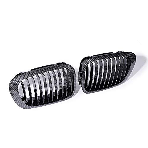 Carbon Fiber