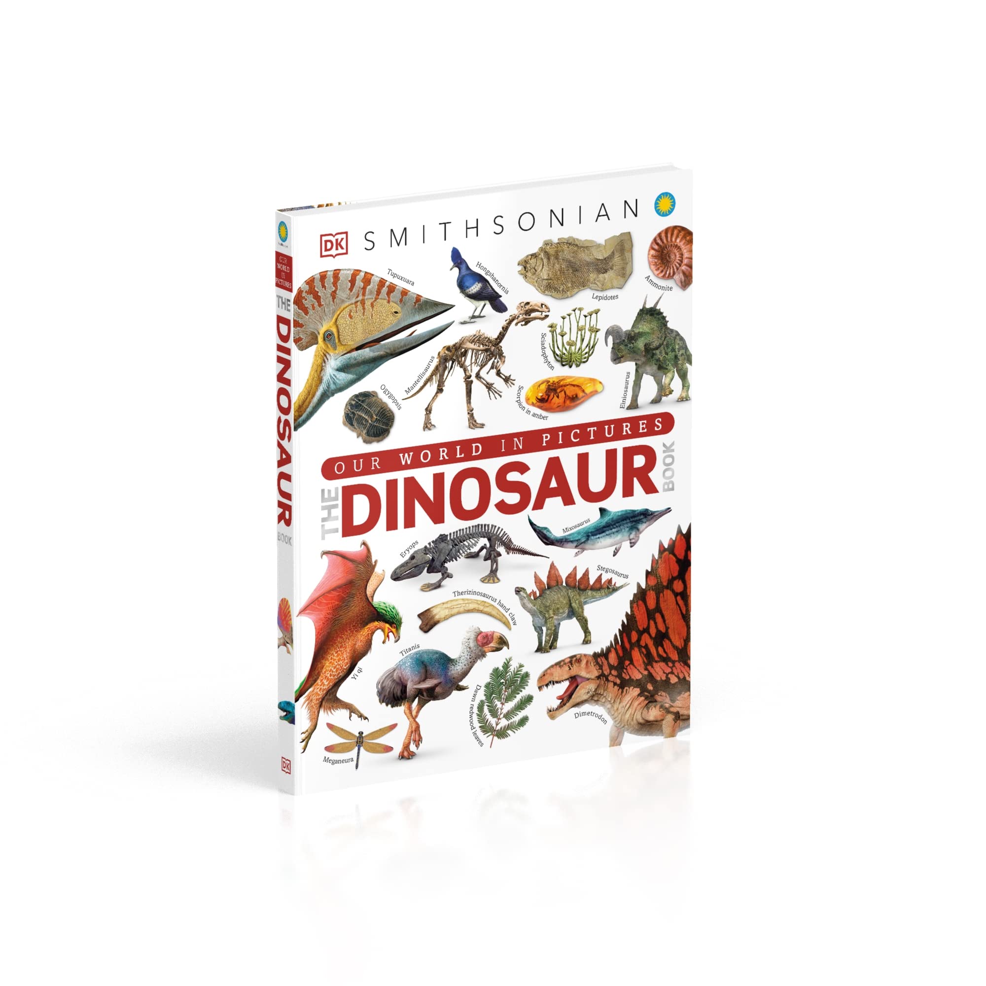 The Dinosaur Book - Educational Kids Book About Dinosaurs for Children | Perfect for Learning, Gifts & Bedtime Reading
