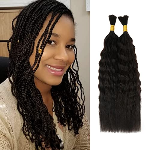 Starlet Micro Braiding Hair Extensions - 200g (2 Pack, 4 Bundles) Virgin Human Hair for Micro Braids | No Weft Super Bulk Hair Extensions | 18 Inch Natural Black | Perfect for Protective Styles, Box Braids & Everyday Wear