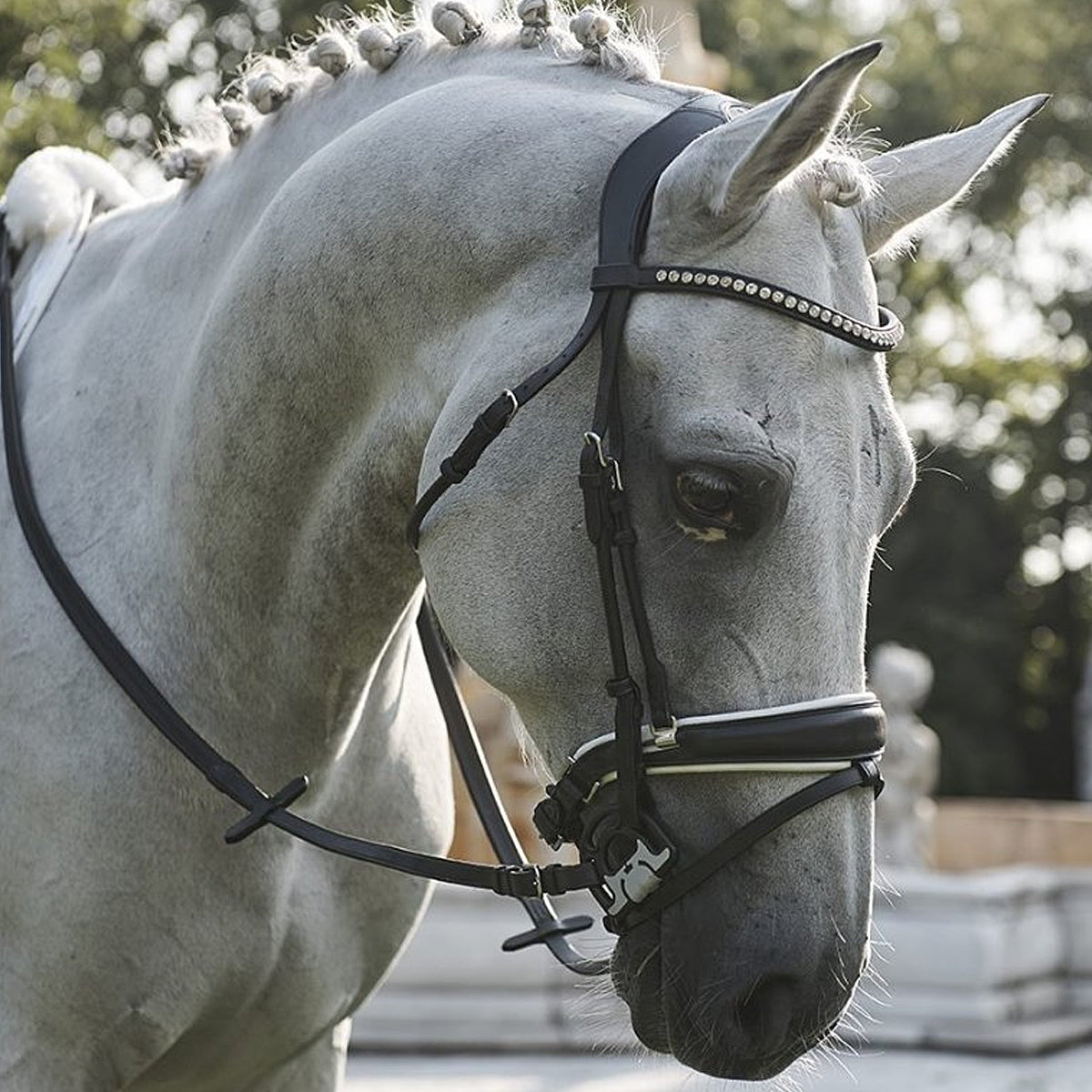 Acavallo Sensitive Bit - Gentle Horse Bit for Sensitive Mouths - Perfect for Dressage & Training