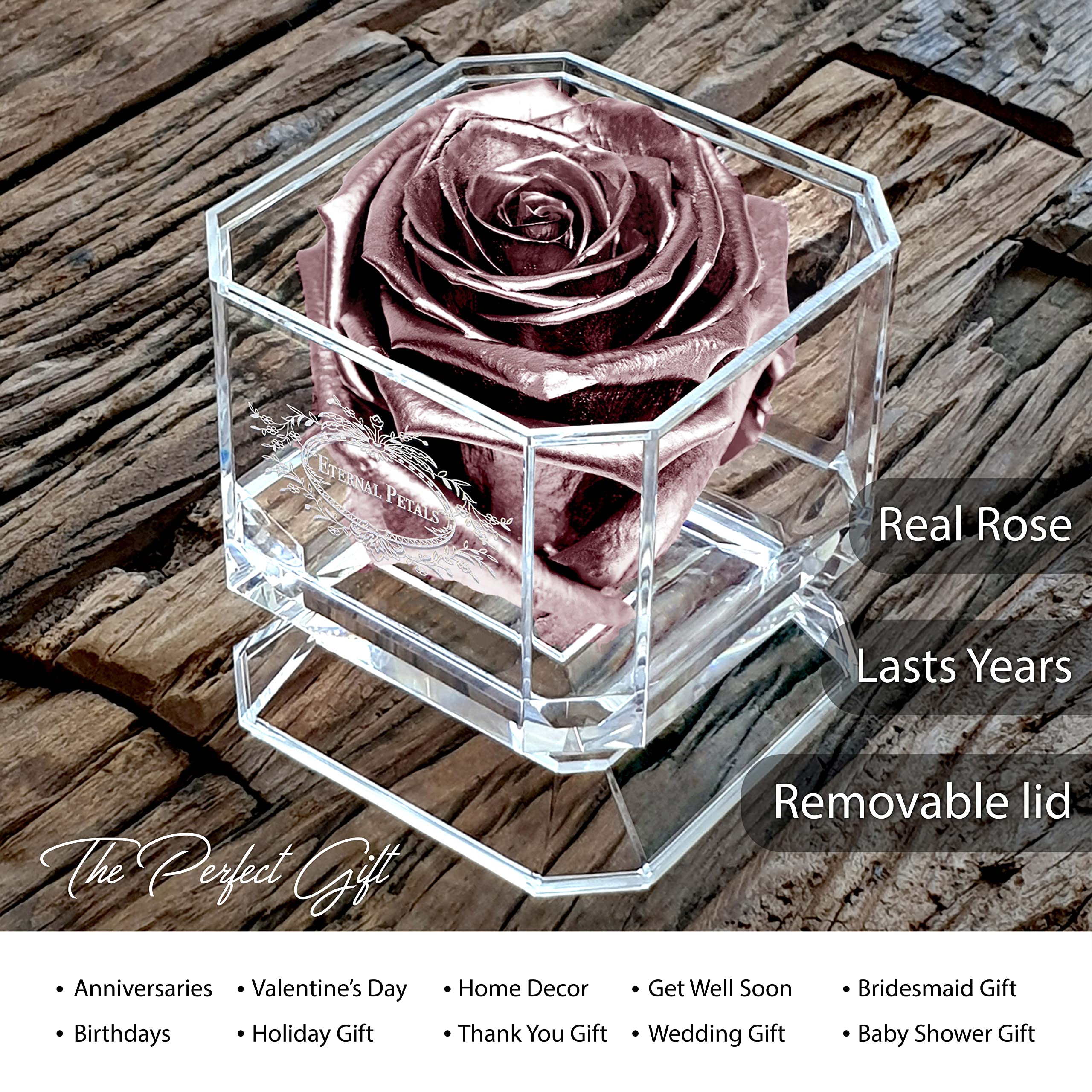 Real Rose That Lasts Over 1 Year - Handmade in London - 24K White Gold Plated Preserved Flower - Perfect for Anniversary Gifts, Wedding Decor & Romantic Home Decor