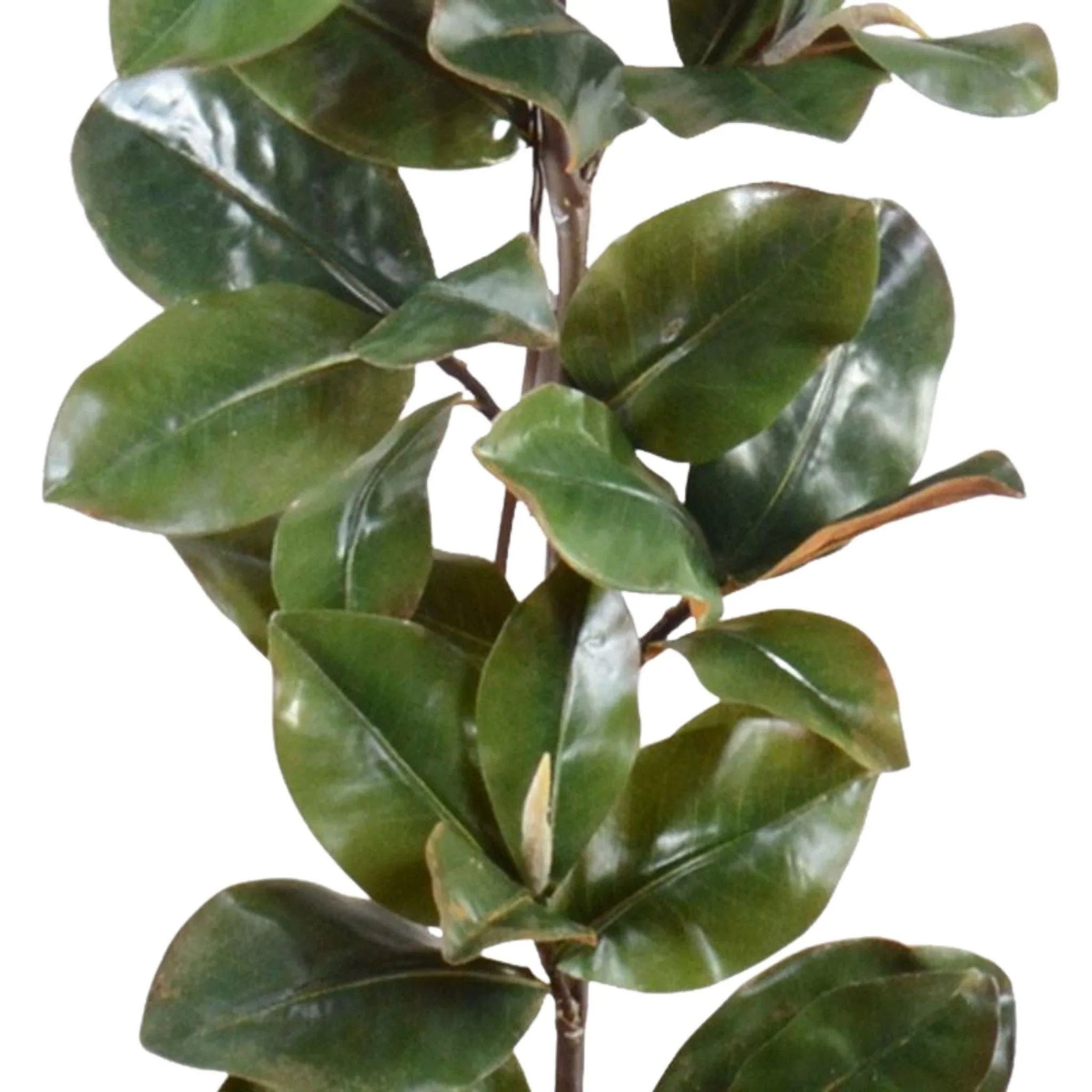 6' Classic Faux Magnolia Leaf Garland - Artificial Greenery for Home Decor, Wedding, Party & Event Decoration