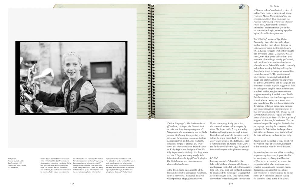 Kathy Acker Book - Get Rid of Meaning for Literary Studies