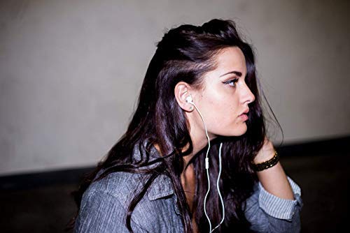Wicked Audio WI1352 Brawl Headphones with Built-in Mic - Premium Bass Sound for Gaming & Music | Perfect for Travel, Workouts & Office Use