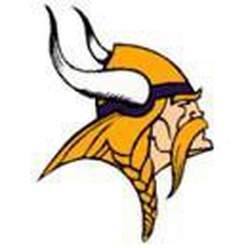 Minnesota Vikings NFL Team Logo Towel - Premium Absorbent Sports Towel for Fans, Games, and Workouts