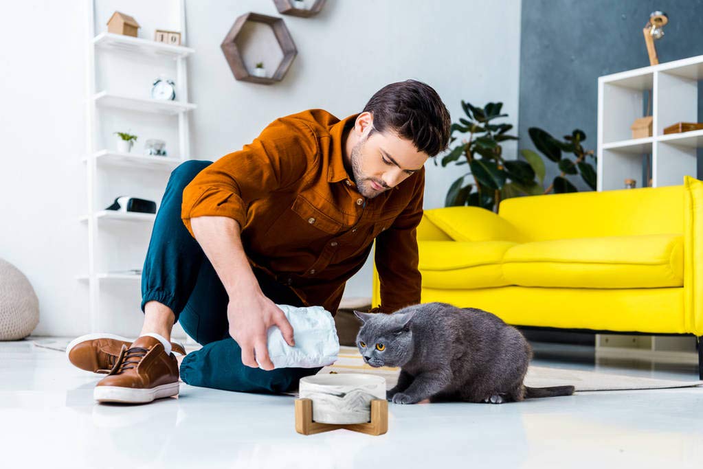 Premium Ceramic Pet Bowls with Stand - Non-Slip Heavy Weighted Dog & Cat Food and Water Bowls - No Tip Over Design for Comfortable Feeding - Dishwasher Safe, Easy to Clean - Perfect for Home, Kitchen, or Travel Use