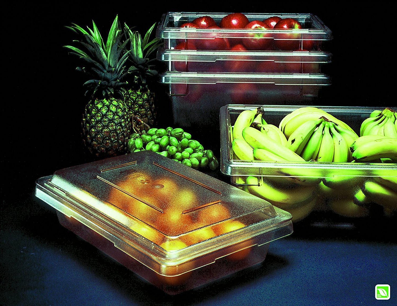 Rubbermaid 5 Gallon Clear Polycarbonate Food Storage Container - Durable & BPA-Free for Restaurants, Kitchens, Cafeterias - Perfect for Bulk Food Storage, Meal Prep & Commercial Use