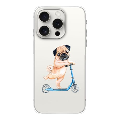 Pug on Scooter