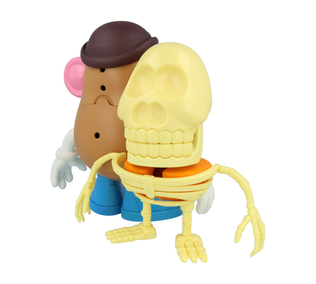 4D XXRAY Mr Potato Head Toy - Interactive Educational Building Blocks for Kids - Perfect for STEM Learning, Creative Play & Birthday Gifts (Great for Classroom Activities & Family Game Nights)