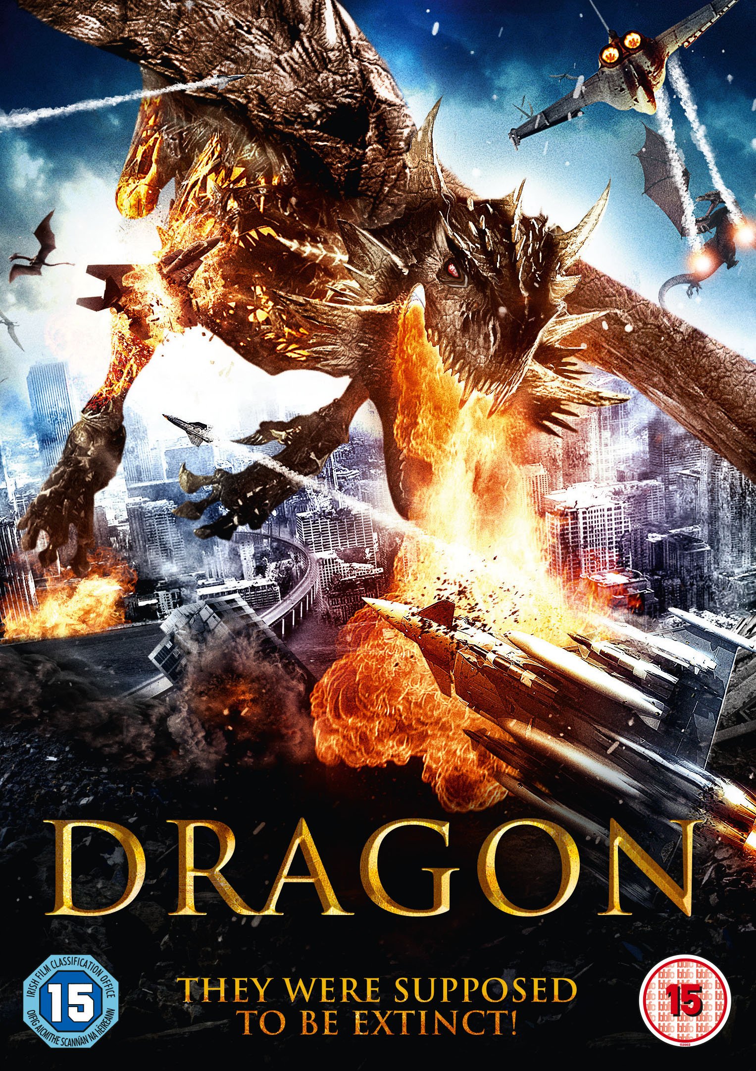 Dragon - Action Adventure Movie [DVD] - Perfect for Movie Nights & Fantasy Film Collections
