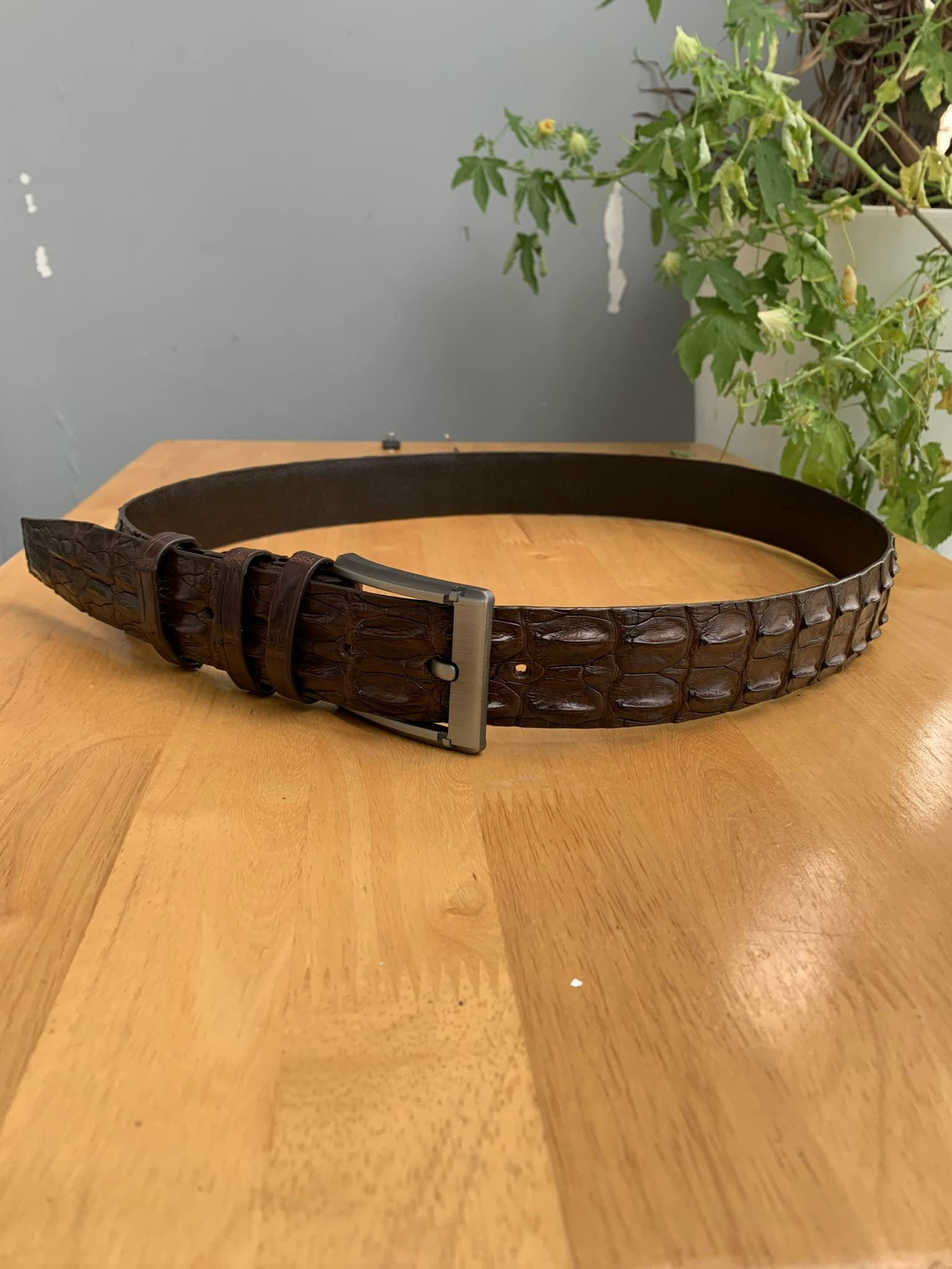 **Genuine Crocodile Hornback Leather Belt for Men - Real Alligator Skin with Buckle - Brown Dress Belt for Formal & Casual Wear**    **Use Case:** Perfect for business attire, weddings, or everyday fashion to elevate your style.