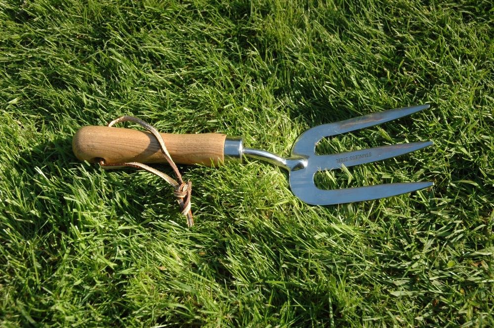 Esschert Design GT10 Hand Fork - Stainless Steel Garden Hand Fork for Weeding, Planting & Digging - Perfect for Small Gardens, Flower Beds & Potting Plants