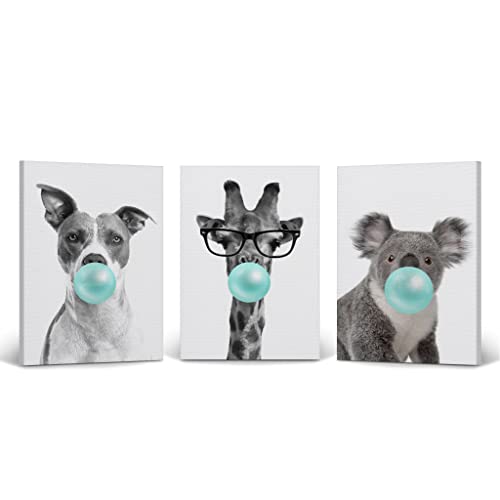 Animal Gum Set V15