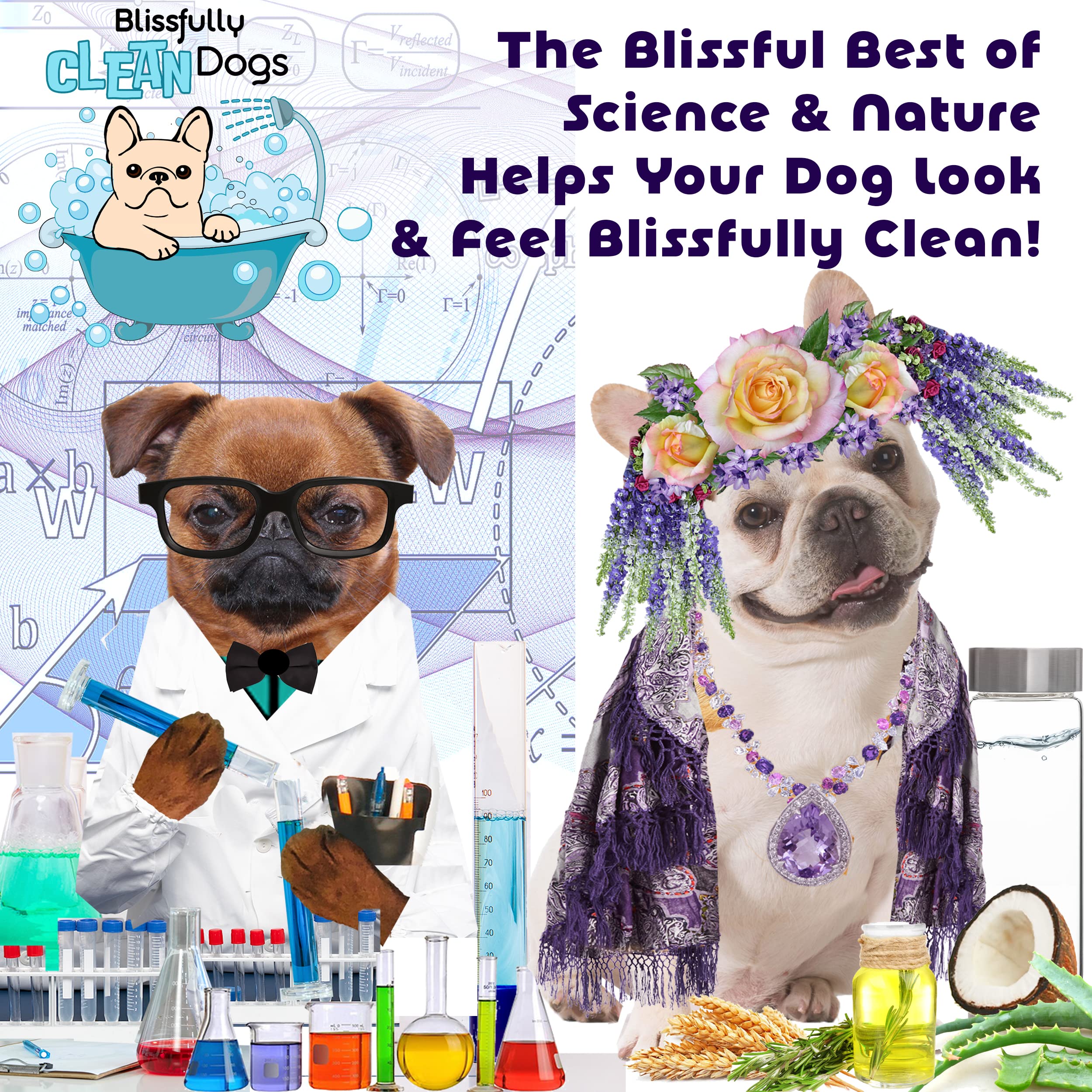 The Blissful Dog Whippet Drama Queen Dog Shampoo - 16 oz | Gentle Cleansing for Sensitive Skin | Perfect for Show Dogs & Daily Grooming at Home