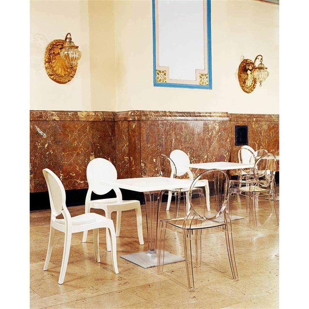Clear Polycarbonate Patio Dining Chairs - Set of 2 Modern Outdoor Chairs by Compamia Elizabeth | Perfect for Garden, Poolside, and Backyard Dining
