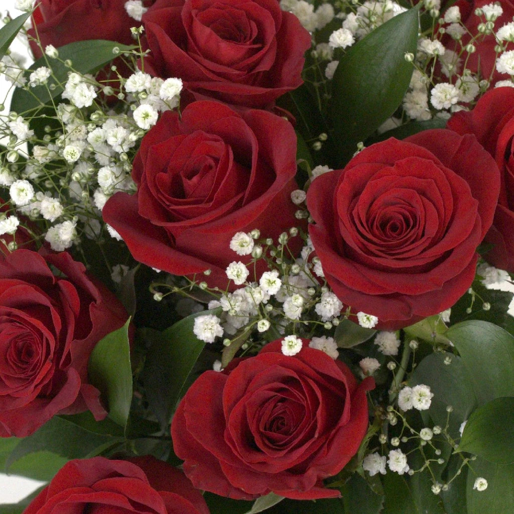12 Long Stem Red Roses Bouquet - Fresh Valentine's Day Flowers Gift for Her, Anniversary, Wedding, Romantic Date Night Decor