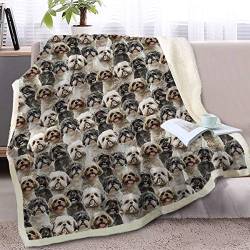 Shih Tsu Dog