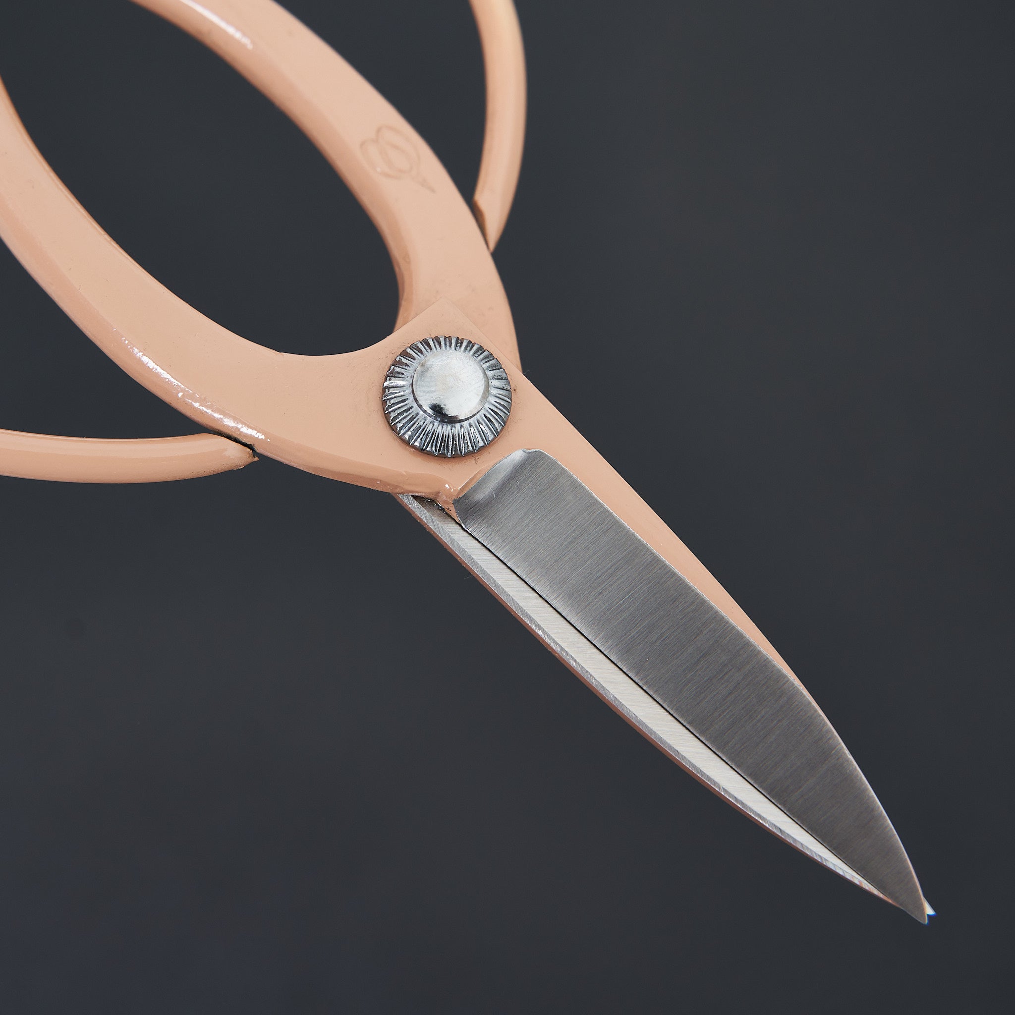 Hidehisa Okubo Professional Hair Cutting Shears 170mm - Orange Handle - Precision Styling Scissors for Salon & Home Haircuts