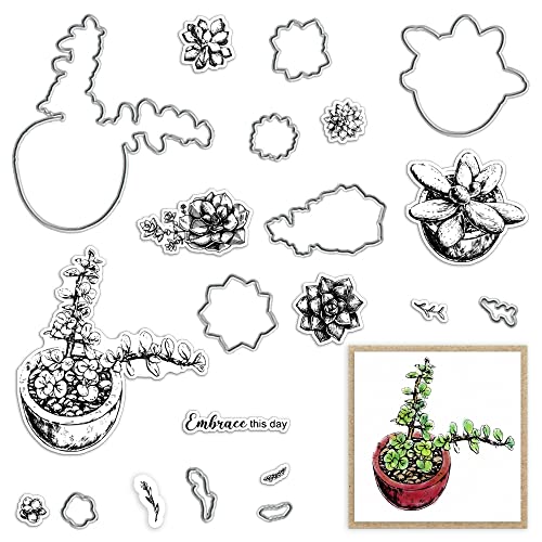 Style 3:succulent plants