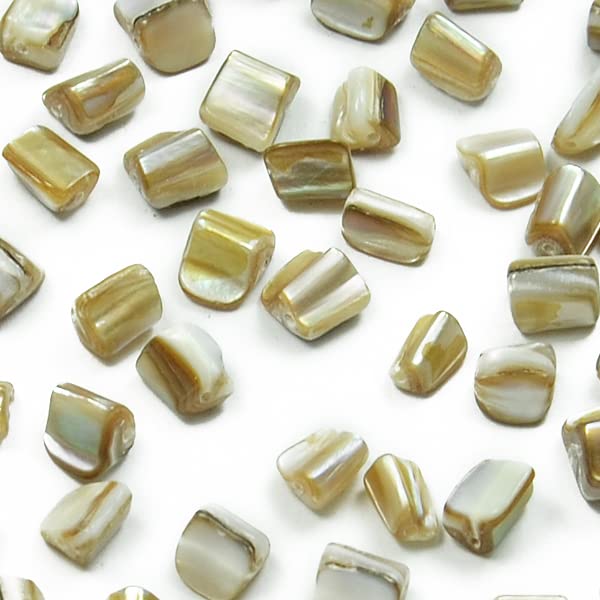 Expo International 6-Pack Natural Tinted Shell Nugget Jewelry Beads (2/8