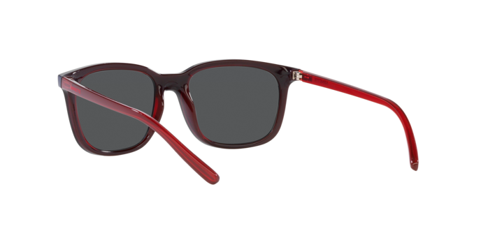 Arnette C'Roll AN4316 288055 Sunglasses - Polarized UV Protection for Men & Women - Perfect for Running, Cycling & Outdoor Sports