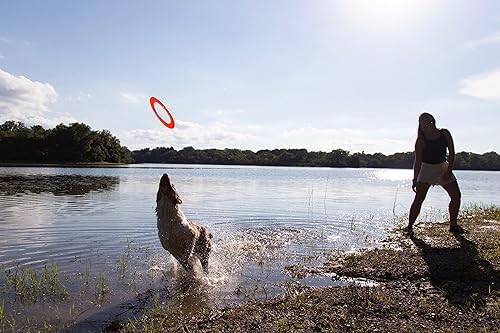 Disc Go Dog - Durable Flying Disc for Dogs, Interactive Fetch & Catch Toy for Outdoor Play - Perfect for Beach, Park, and Backyard Fun