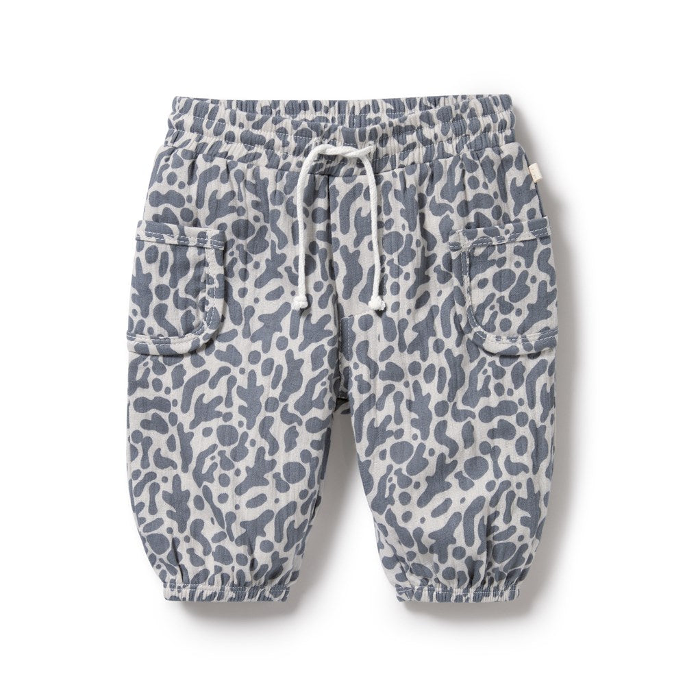 Blue Coral
