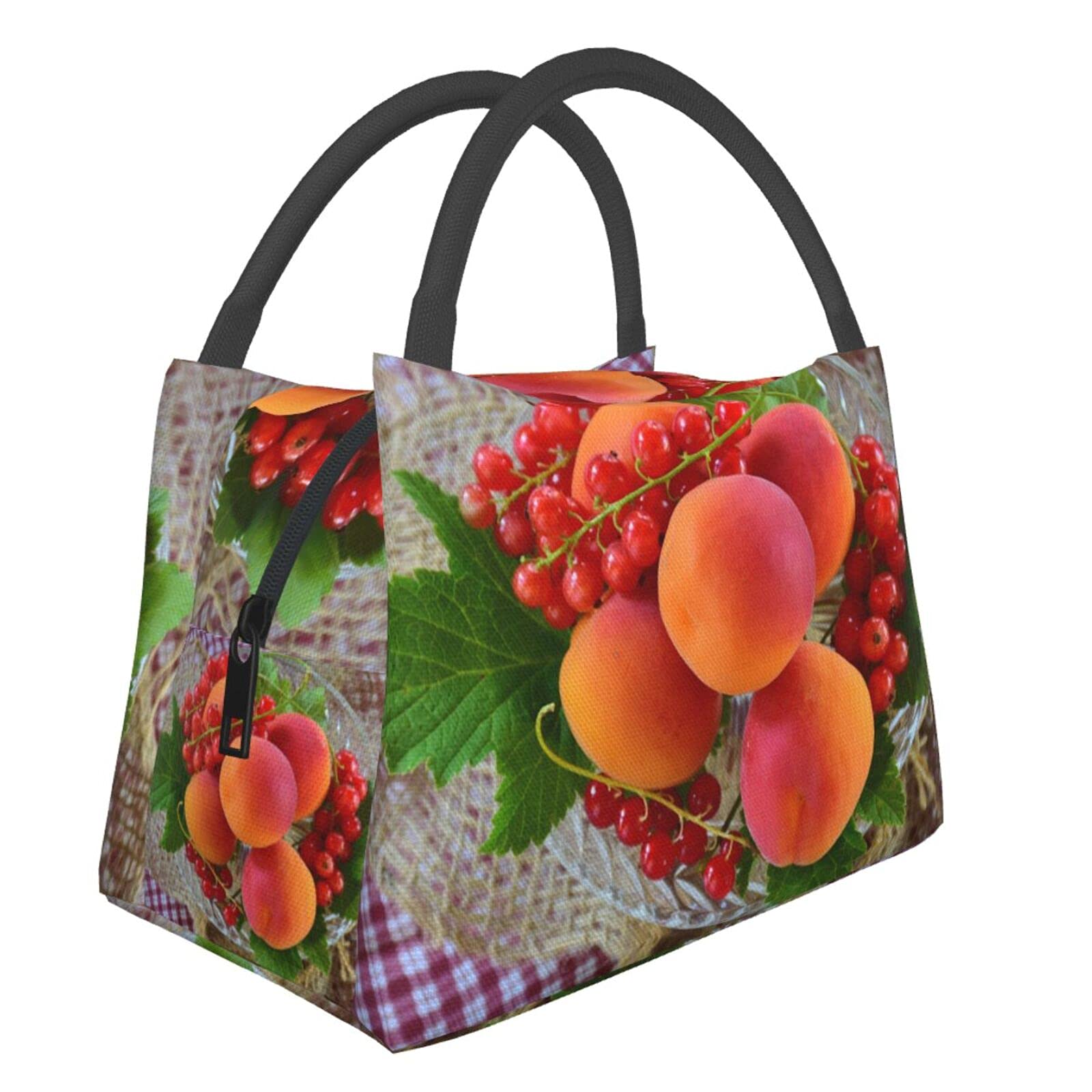 Fresh Apricots - Sweet & Juicy Stone Fruit, Healthy Snack for Lunch, Picnic, or Shopping | Portable Insulated Cooler Bag for Kitchen & Family Outings