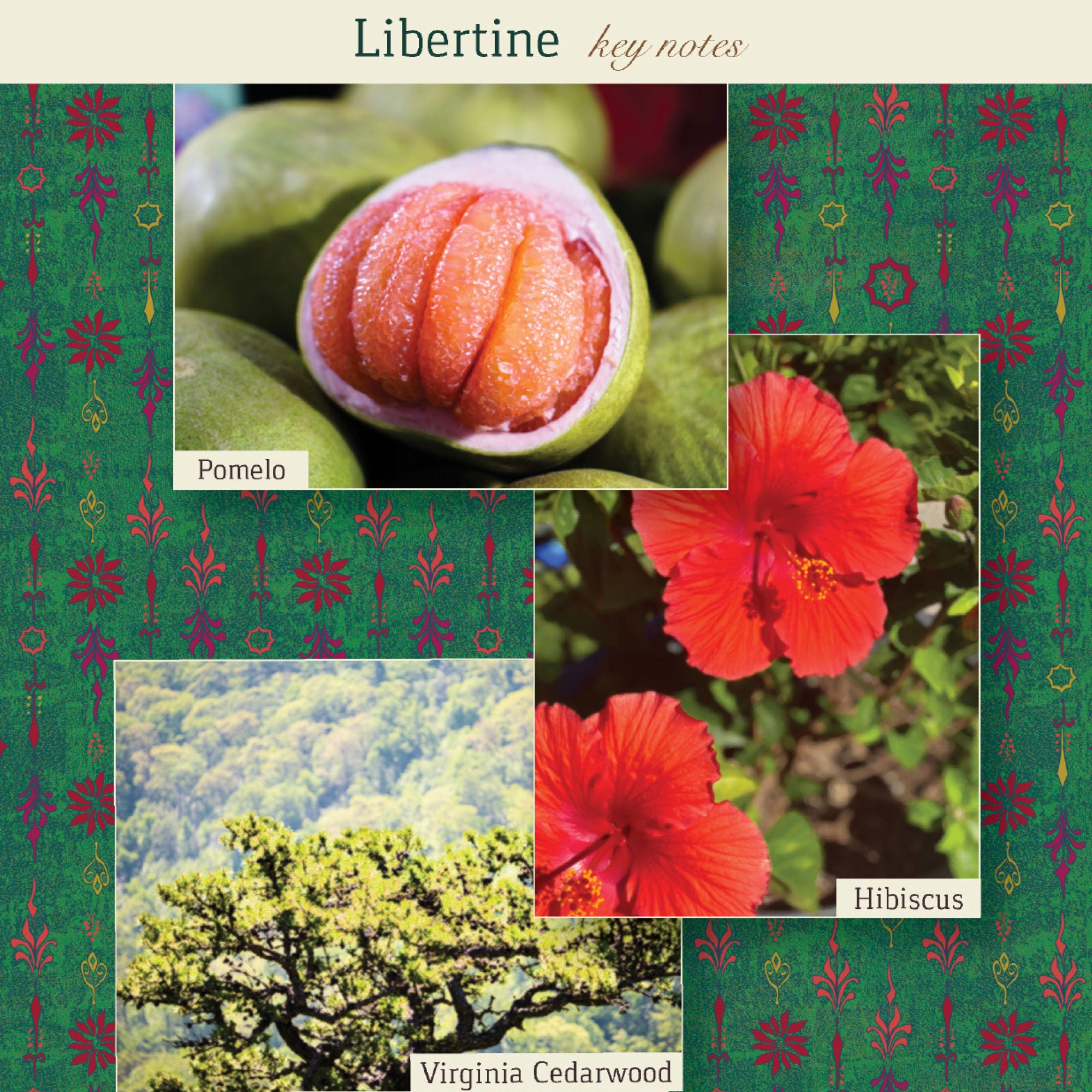 Libertine Eau de Parfum - Luxury Women's Perfume with Long-Lasting Floral Scent | Perfect for Date Night, Special Occasions & Everyday Elegance