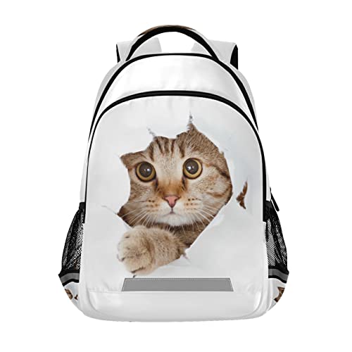 N Lovely Cat White