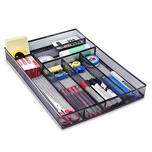 Black-6 Compartments