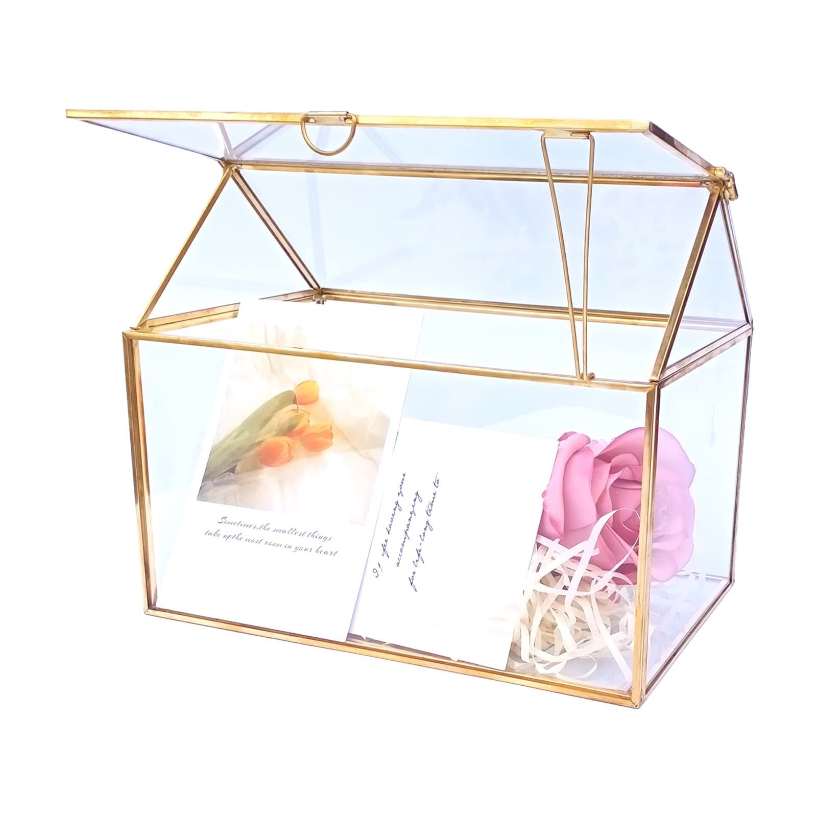 Elegant Glass Terrarium Gift Box 9