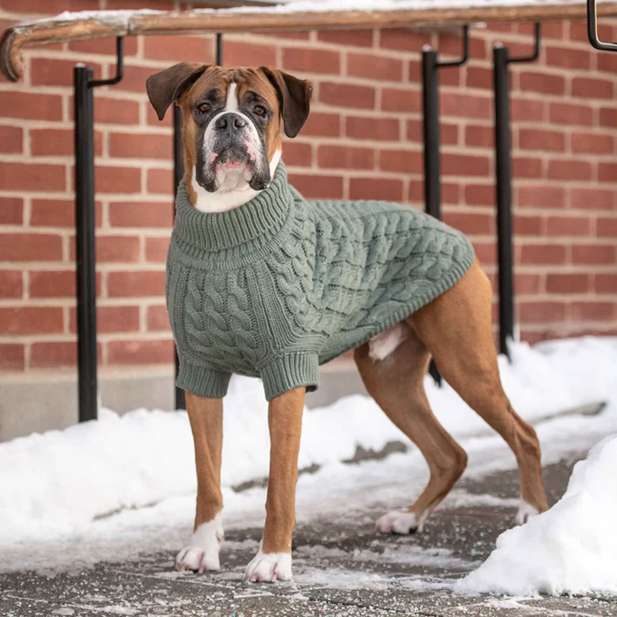 GF Pet Chalet Sweater for Dogs - Cozy Sage Green Knit Dog Sweater, Winter Warm Puppy Clothing - Perfect for Outdoor Walks & Holiday Photos