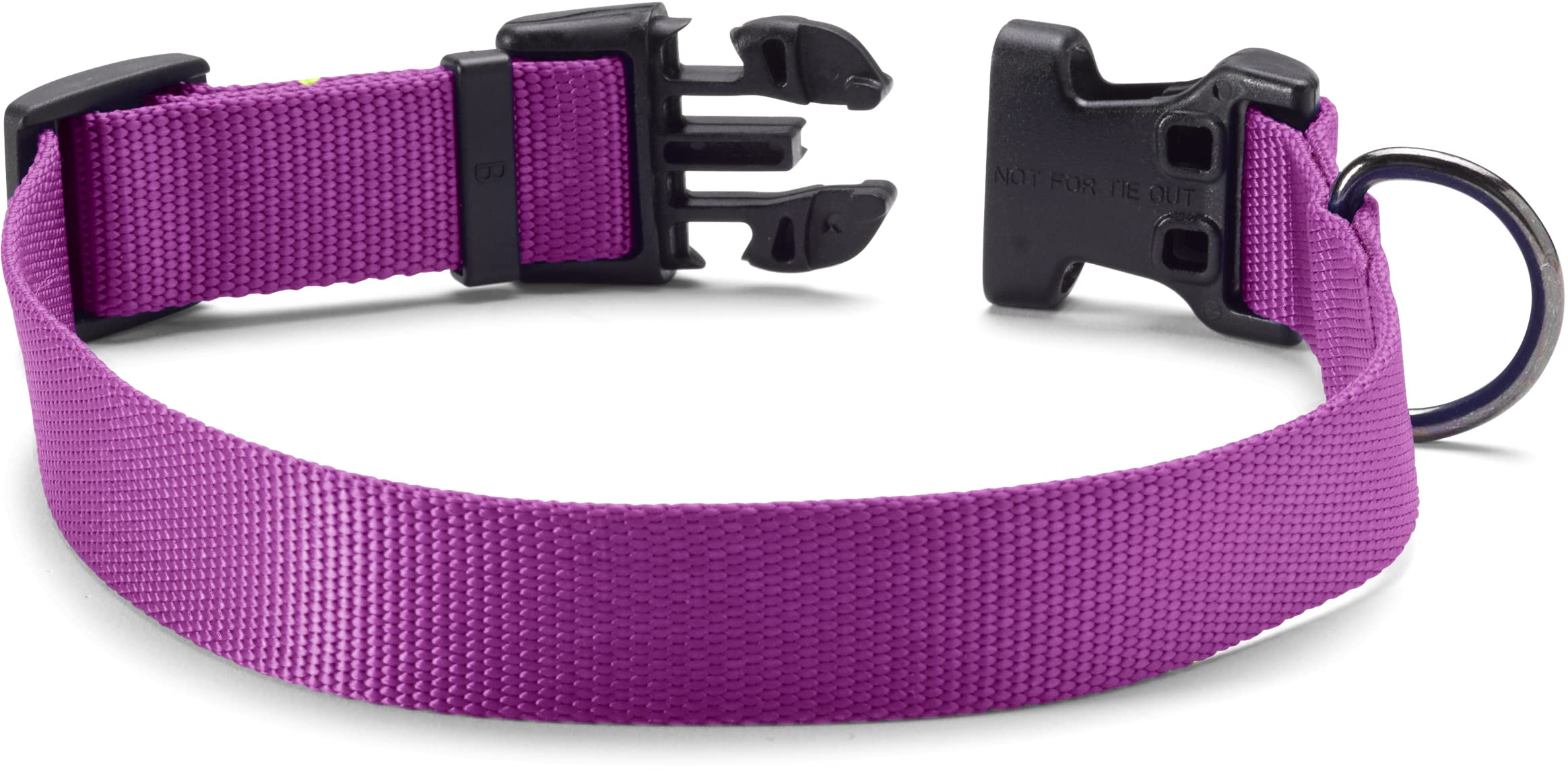 Orvis Adjustable Dog Collar for Small Dogs - Soft Nylon Pet Collar with Quick-Release Buckle, Purple Orchid Color - Perfect for Daily Walks, Training & Outdoor Adventures