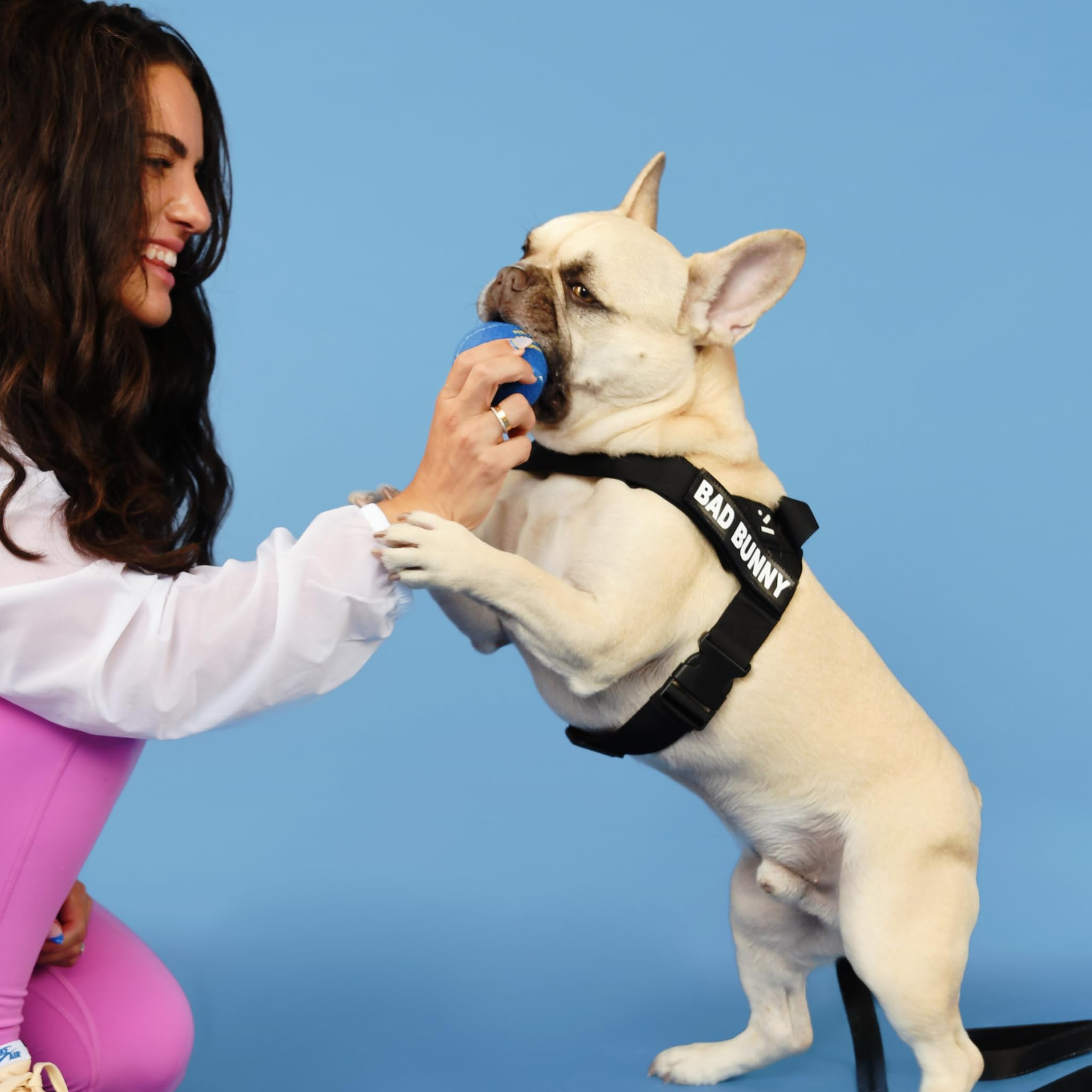 Marlio Adjustable No-Pull Dog Harness - Choke-Free, Comfortable & Stylish Pet Walking Gear with Easy-On Design, Unique Prints & Matching Leash - Small Size Solid Black - Perfect for Daily Walks, Training & Outdoor Adventures