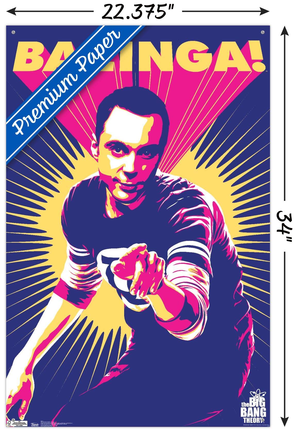 The Big Bang Theory Sheldon Cooper Wall Poster with Push Pins - Perfect for TV Show Fans, Dorm Room Decor & Office Wall Art