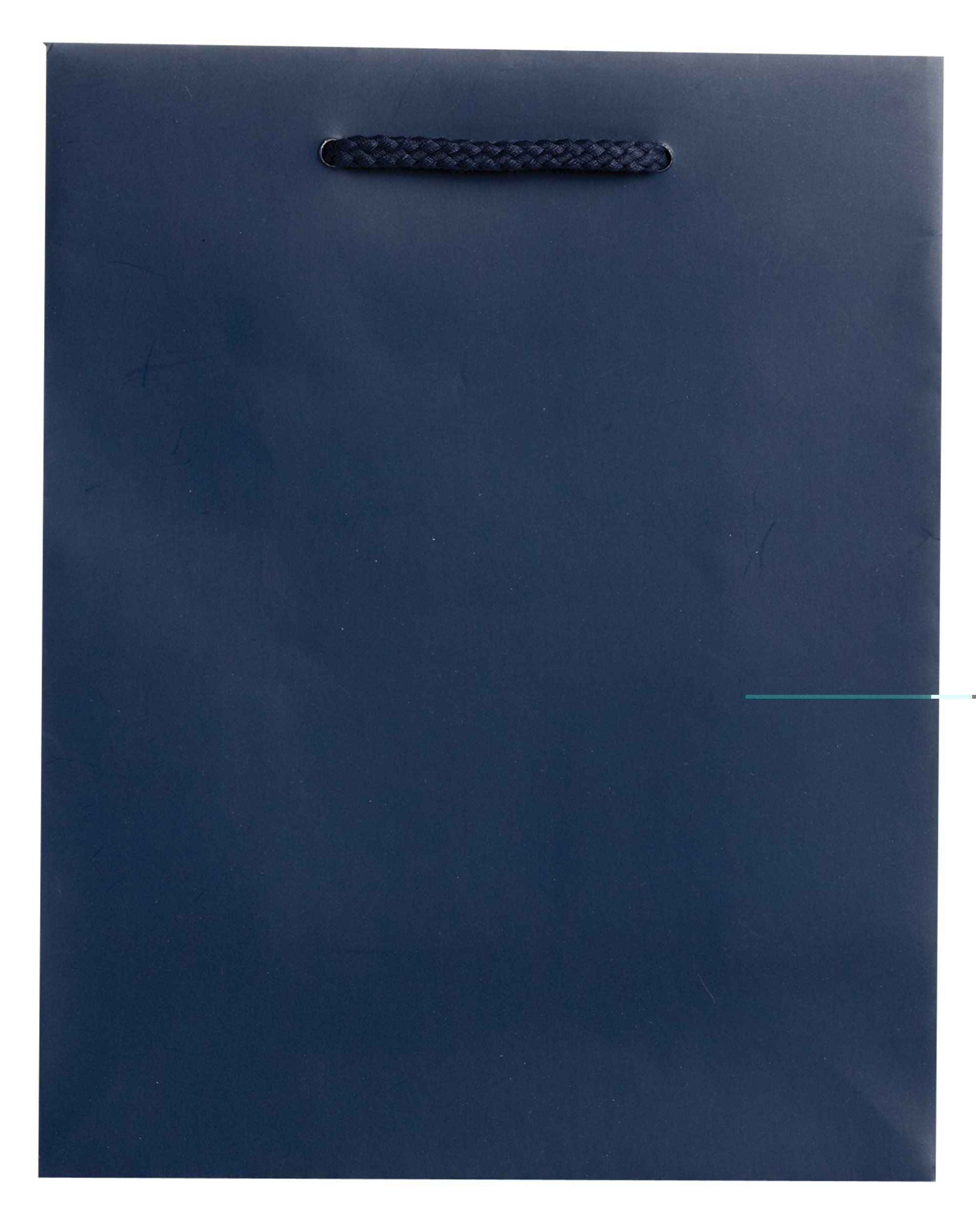 JILLSON & ROBERTS 120-Count Navy Matte Medium Gift Bags Bulk Pack (BMT926) - Perfect for Parties, Weddings, Birthdays & Corporate Events