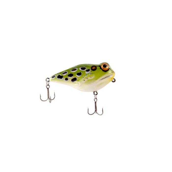 Leopard Frog