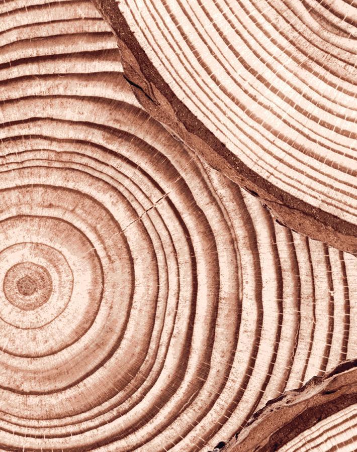 Nathan Turner Faux Bois Wallpaper - Mahogany Wood Grain Peel & Stick Wallpaper for Living Room, Bedroom, and Office Decor