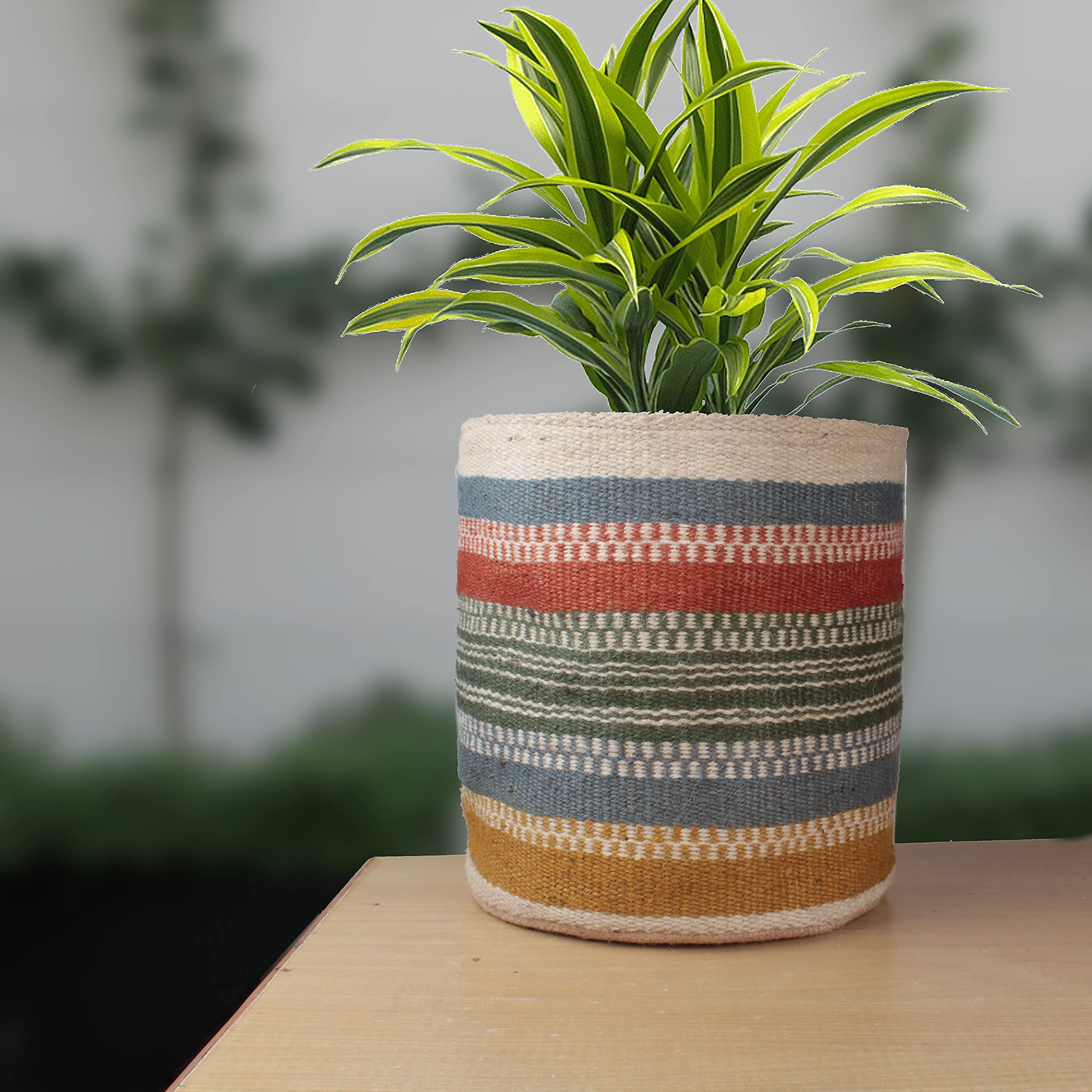 Modern Woven Planter Basket for 10
