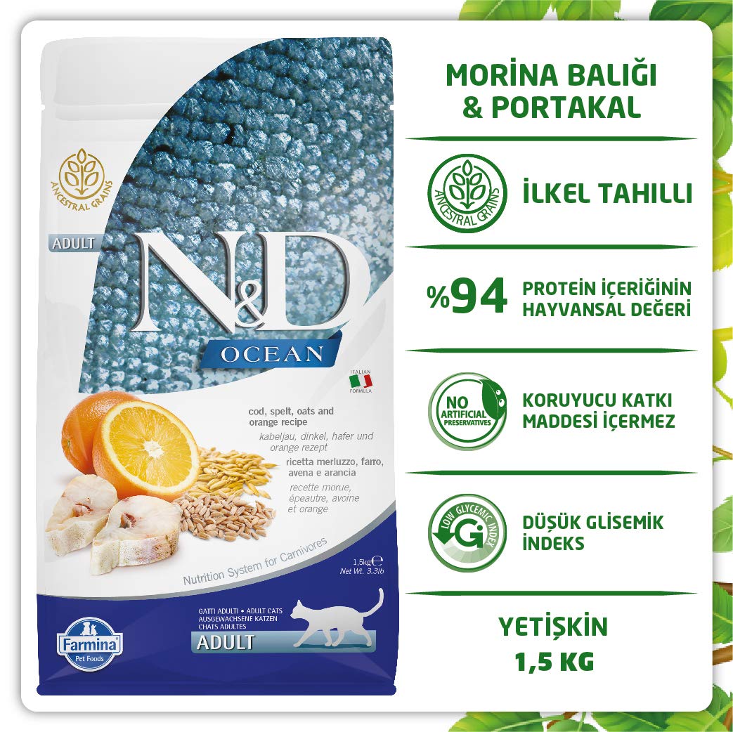 Premium Cod, Spelt, Oats & Orange Flavored Adult Dog Food - High Protein Grain-Free Dry Kibble for Medium & Large Breed Dogs - Perfect for Active Dogs & Daily Nutrition