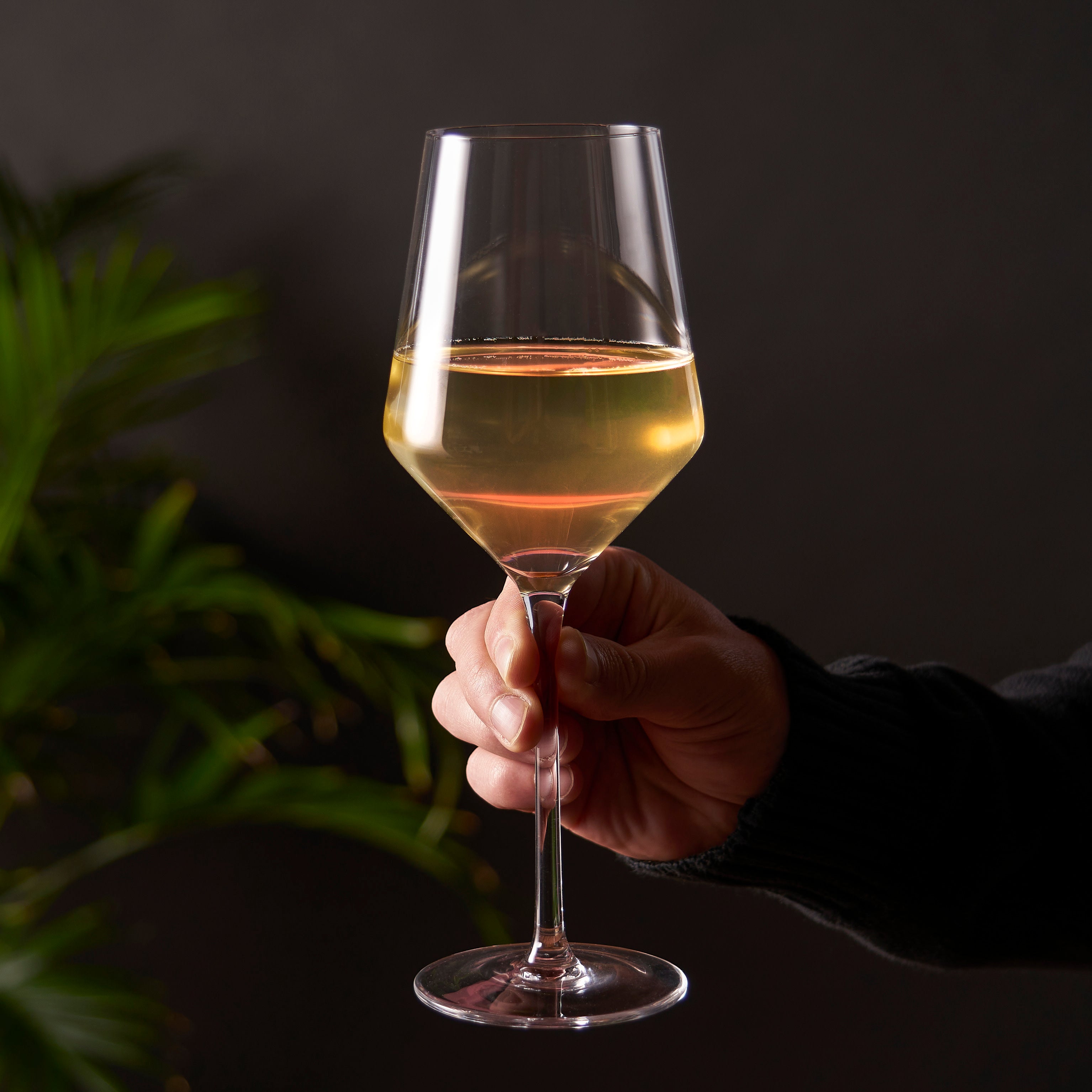 Premium Raye Angled Crystal Chardonnay Wine Glasses Set of 2 - Elegant Stemware for Fine Dining, Romantic Dinners & Wine Tasting Events