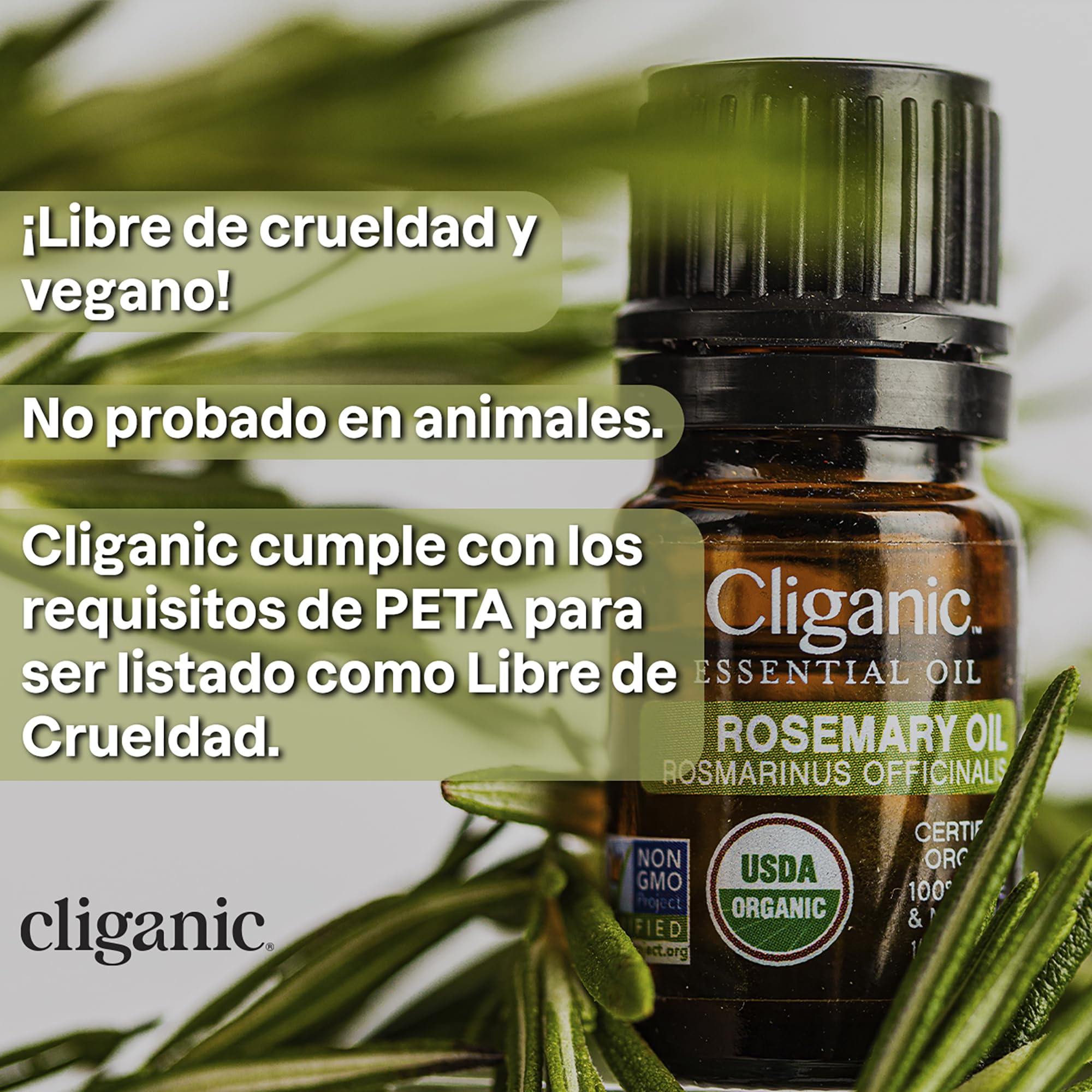 Cliganic 100% Pure Organic Castor Oil for Hair Growth & Eyelash Care - 1oz Bottle with Eyelash Kit - Natural Moisturizer for Skin, Beard & Scalp - Perfect for DIY Beauty Treatments & Nighttime Routine