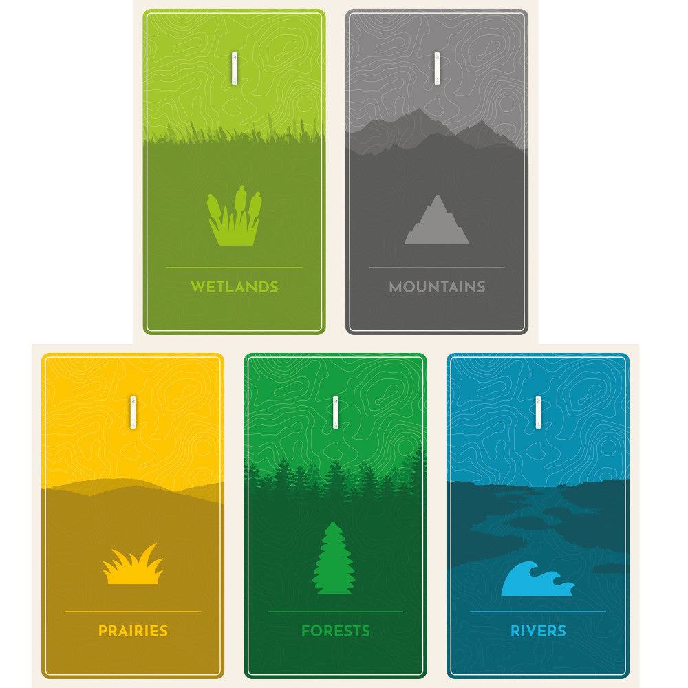 AEG Cascadia Rolling Rivers Dynamic Dice Habitat Board Game - Perfect for Family Game Nights & Strategy Enthusiasts